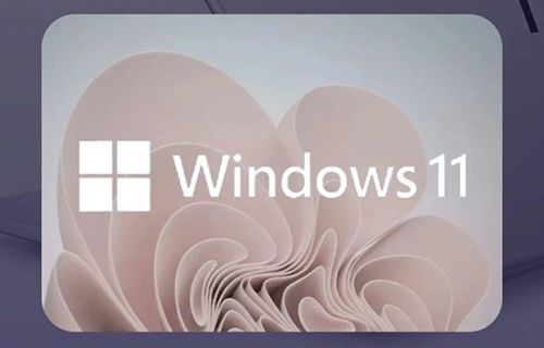 一招关闭Win11系统广告！远离烦恼！